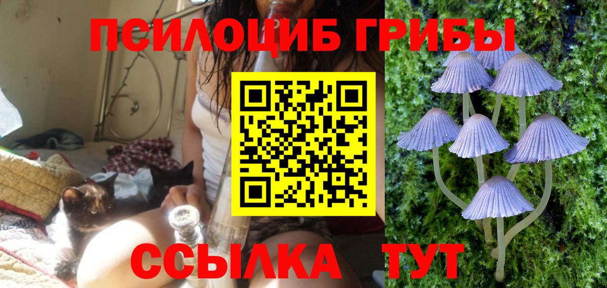 Псилоцибиновые грибы Cubensis  Вход с VPN  Ярославль 