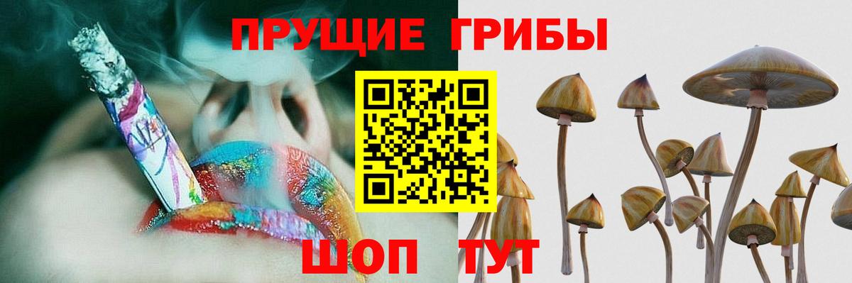 Псилоцибиновые грибы Magic Shrooms Ярославль